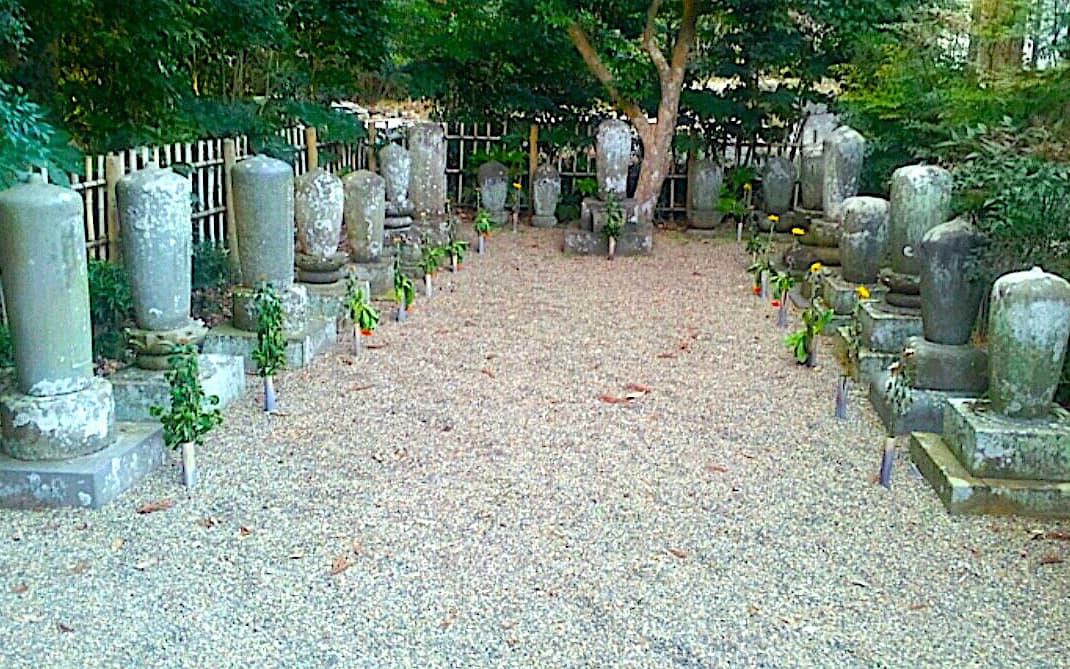歴代住職墓所 施工前